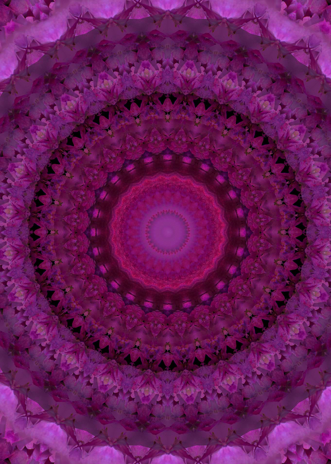 Pink Mandala