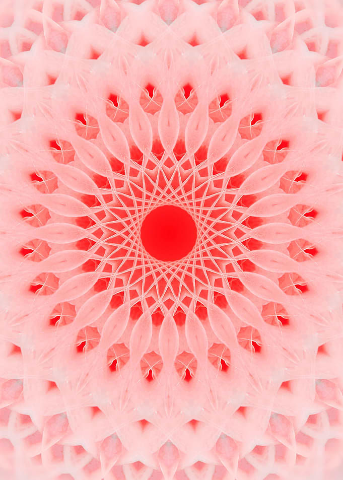 Pink Mandala with tulips ornaments