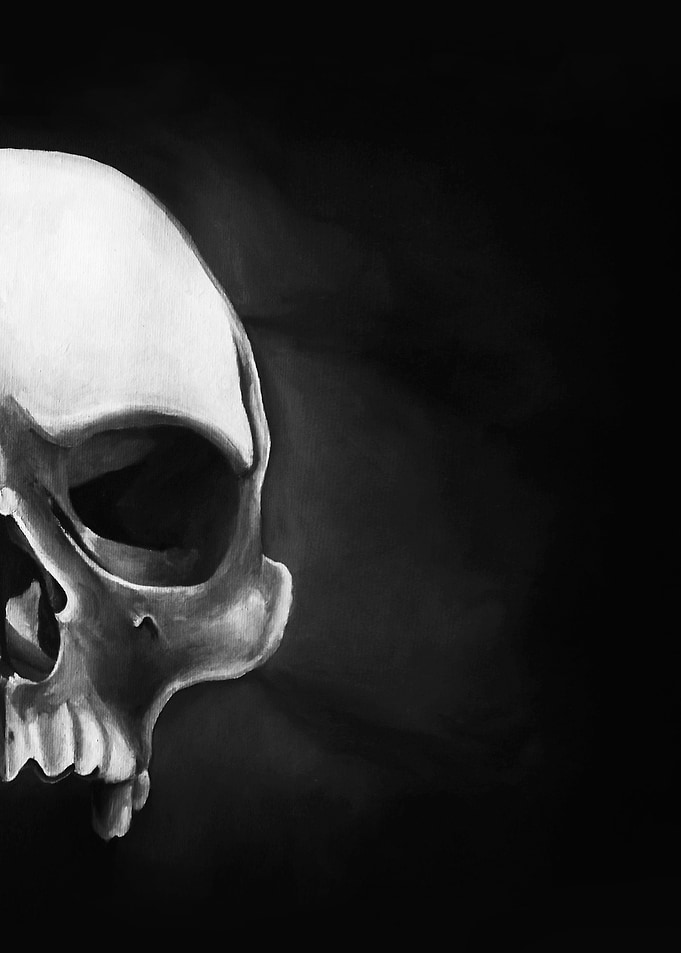 black and white skull painting 1/2