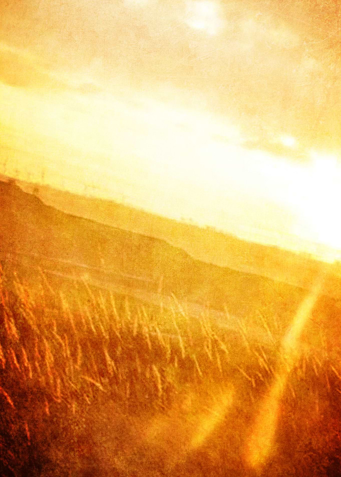 Through gold-woven dreams
