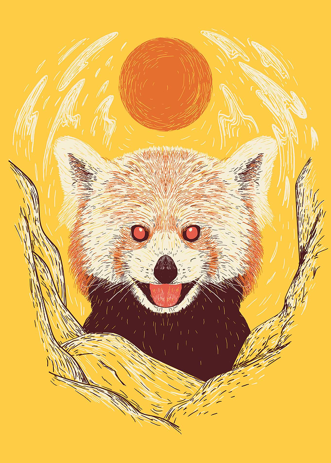 small panda on a sunny day