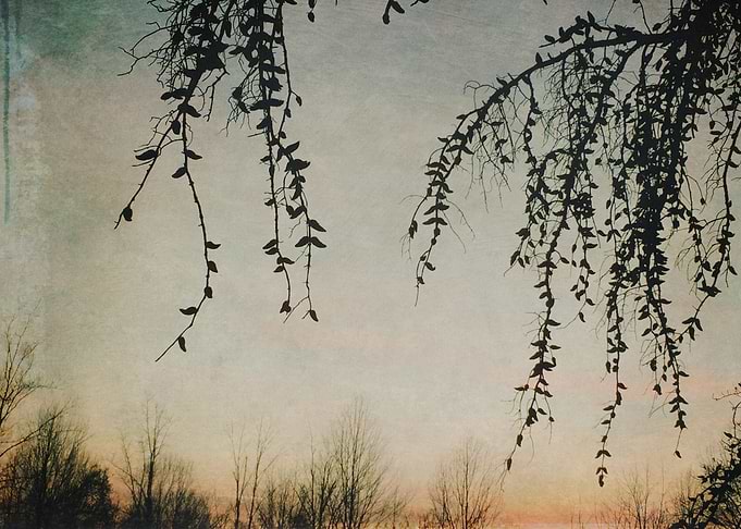 Spring Sky