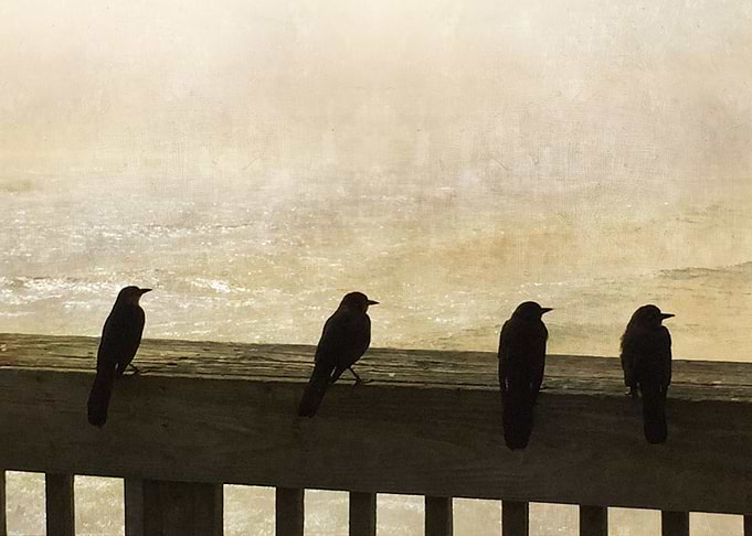 Four Birds