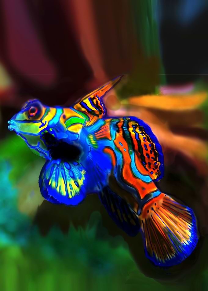 Spectacular fish