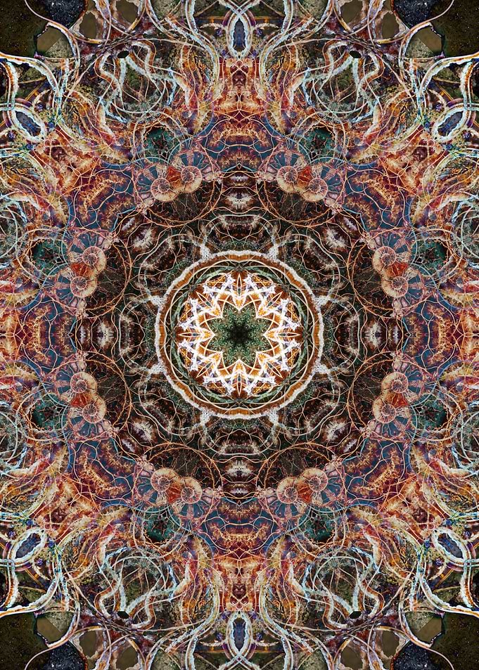Mandala with ammonite pattern