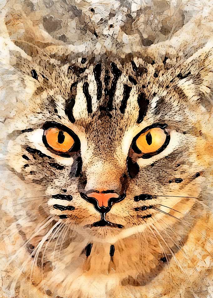 Cat Max