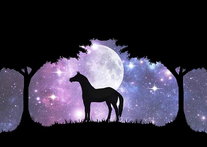 those who dont beleive in magic will never find it by ...