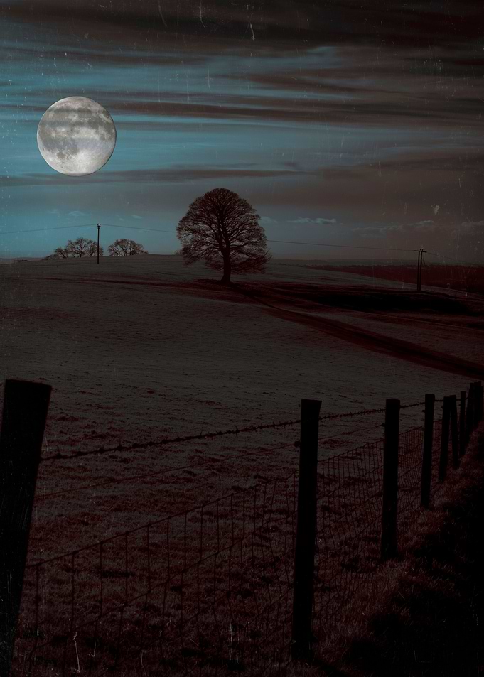 Moon Tor. An impression of a moonscape from an ancient ...