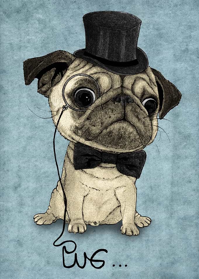 Pug; Gentle Pug (v3)