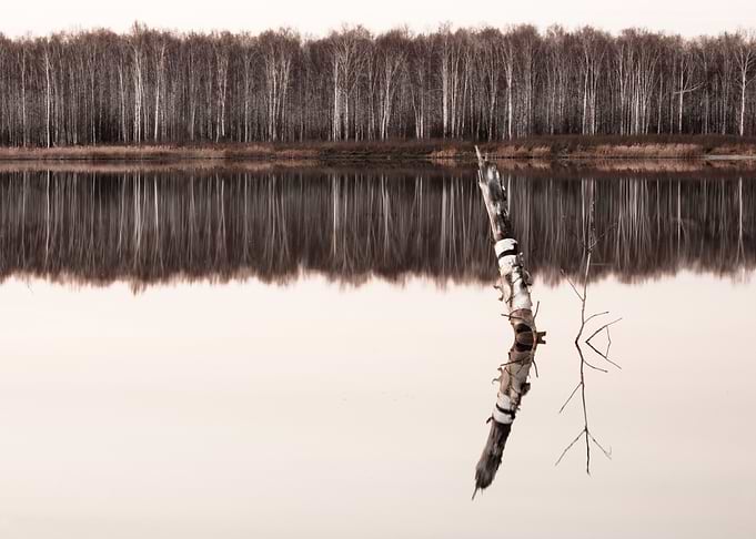 Siberian nature