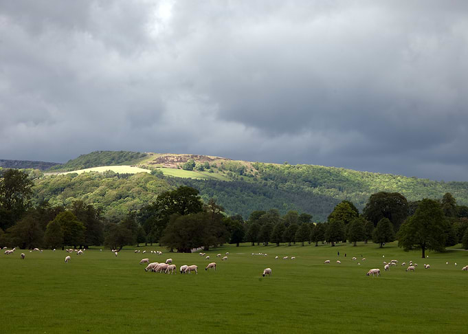 Cumbria nature