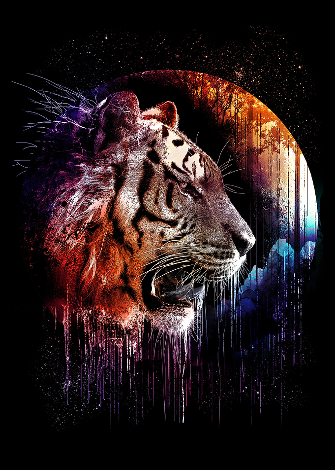 MIDNIGHT HUNTER - get ready...tiger