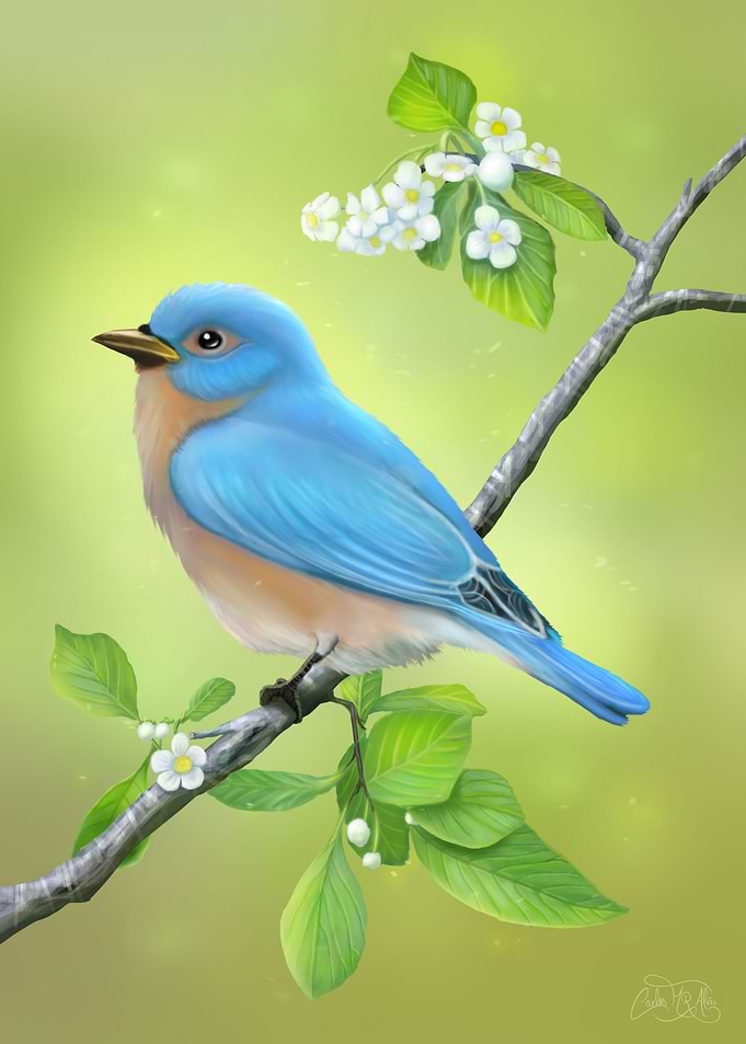 The Blue Bird