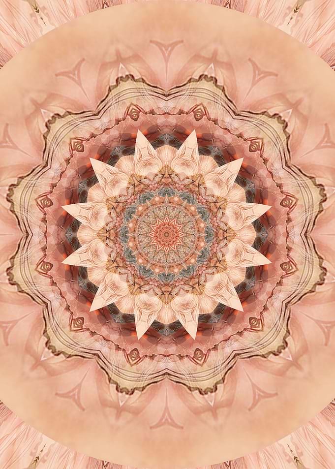 Mandala compassion