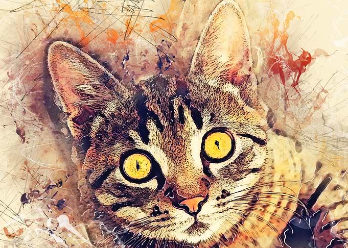 Cat Tigger