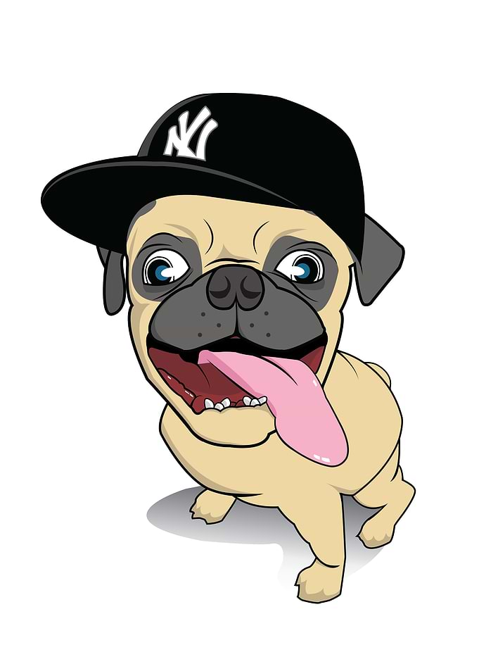 PUG