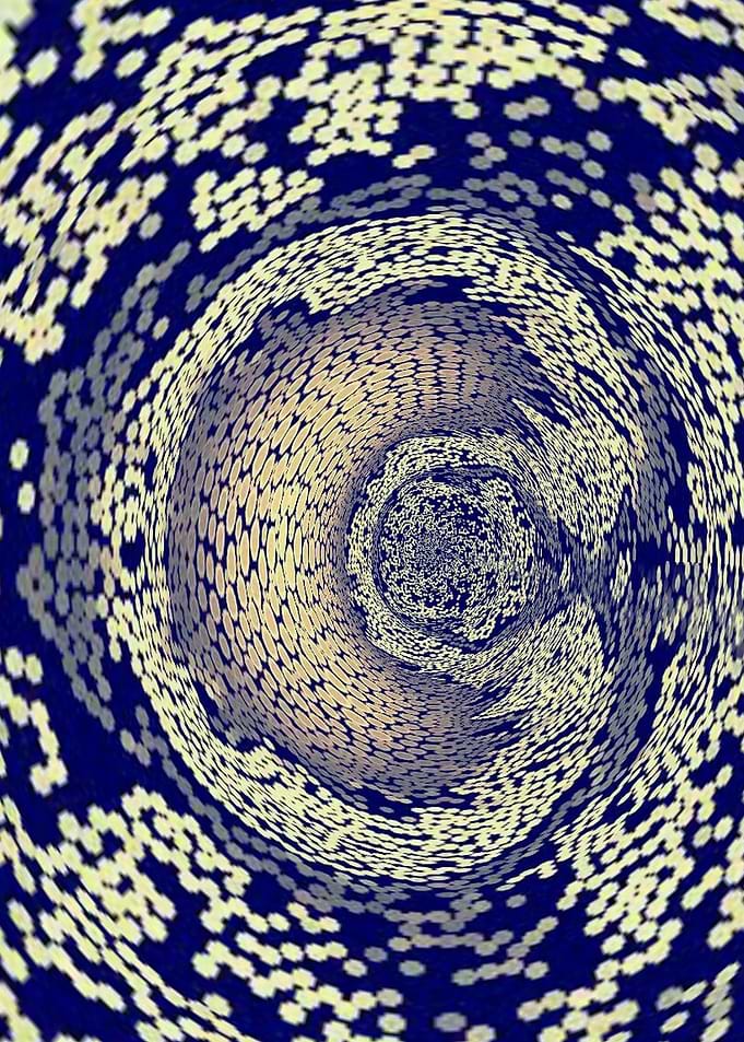 Kaleidoscope W, a starry design