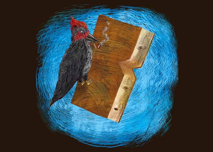 ''Bookpecker'' artwork for booklovers...