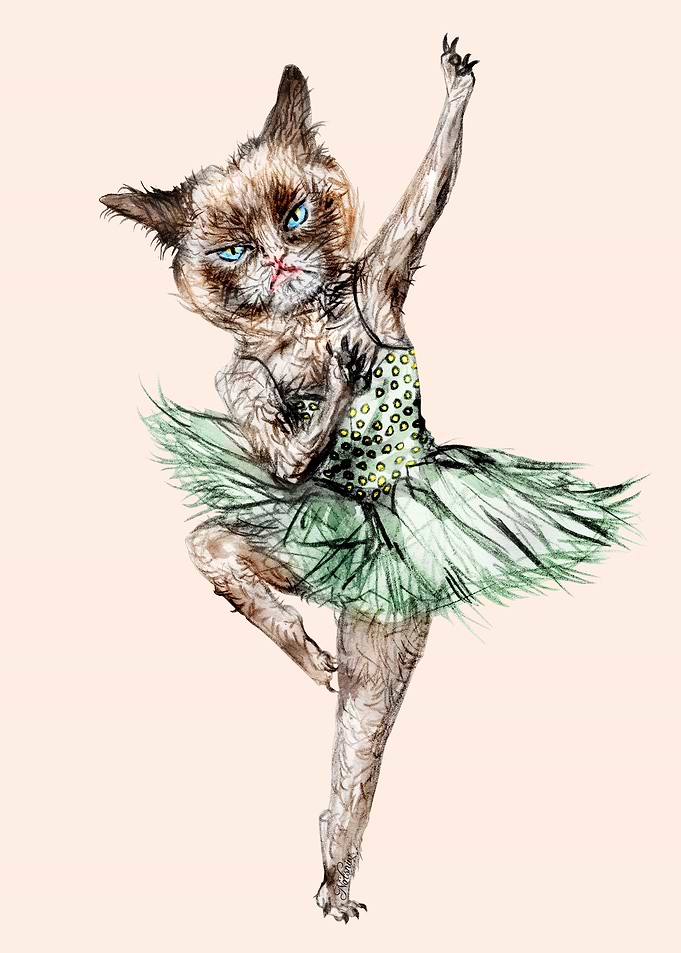 Siamese Ballerina
