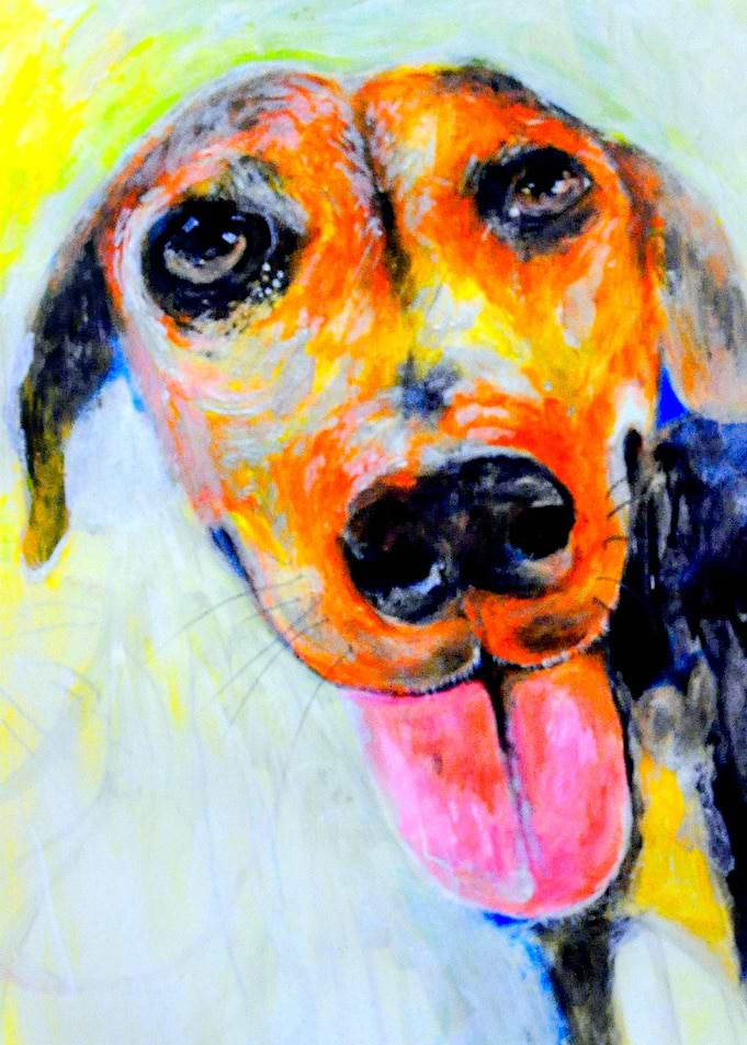 Soi Dog 5