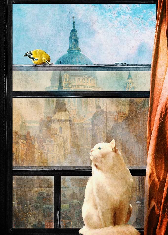 The Bird and the Cat