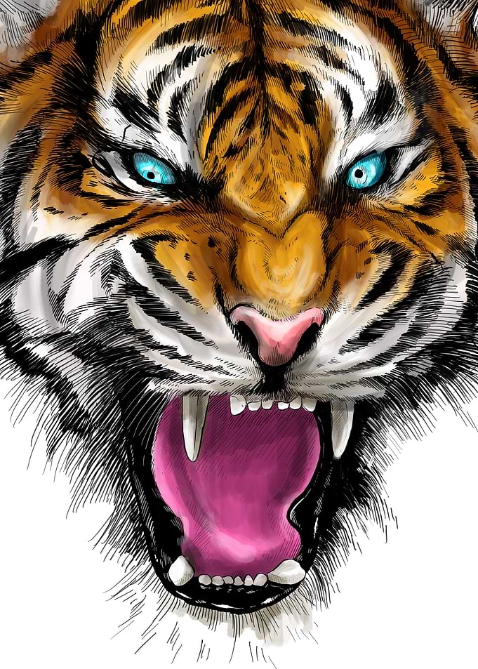 Ferocious Tiger