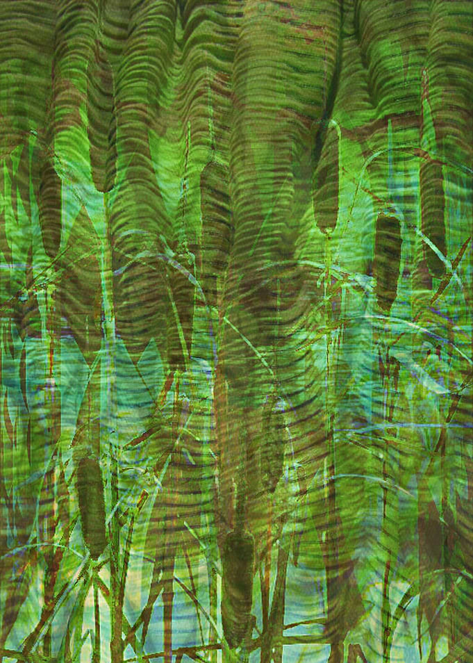 Blue Reed