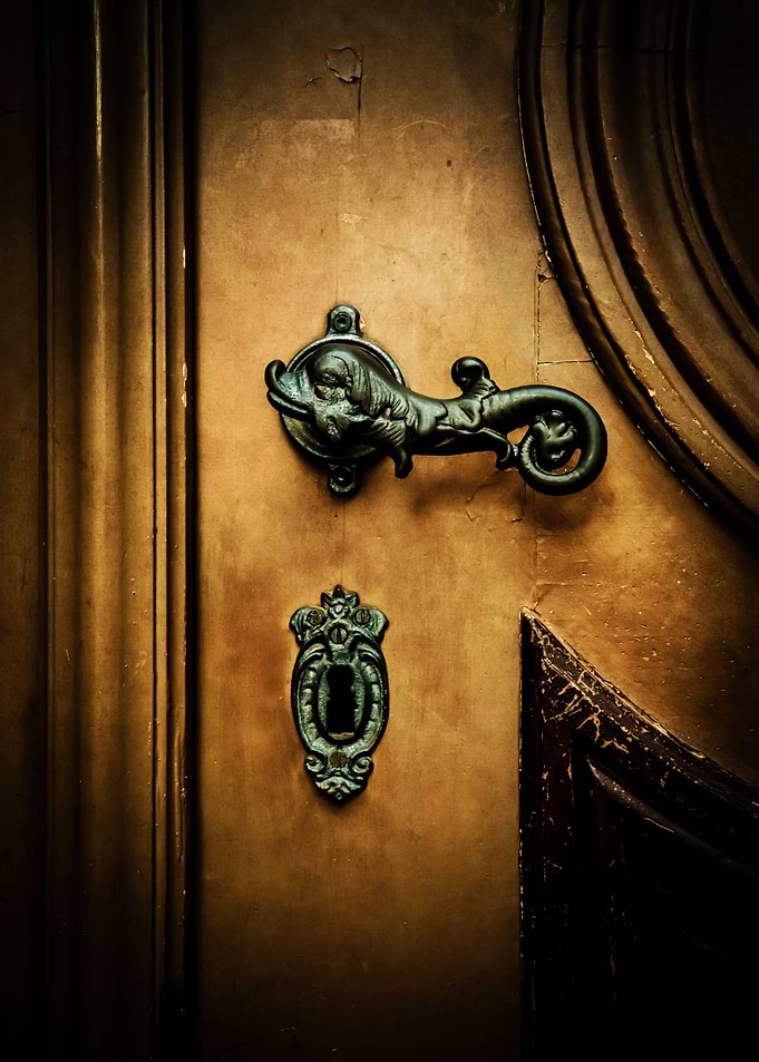 Wooden doors with ornamented handle.