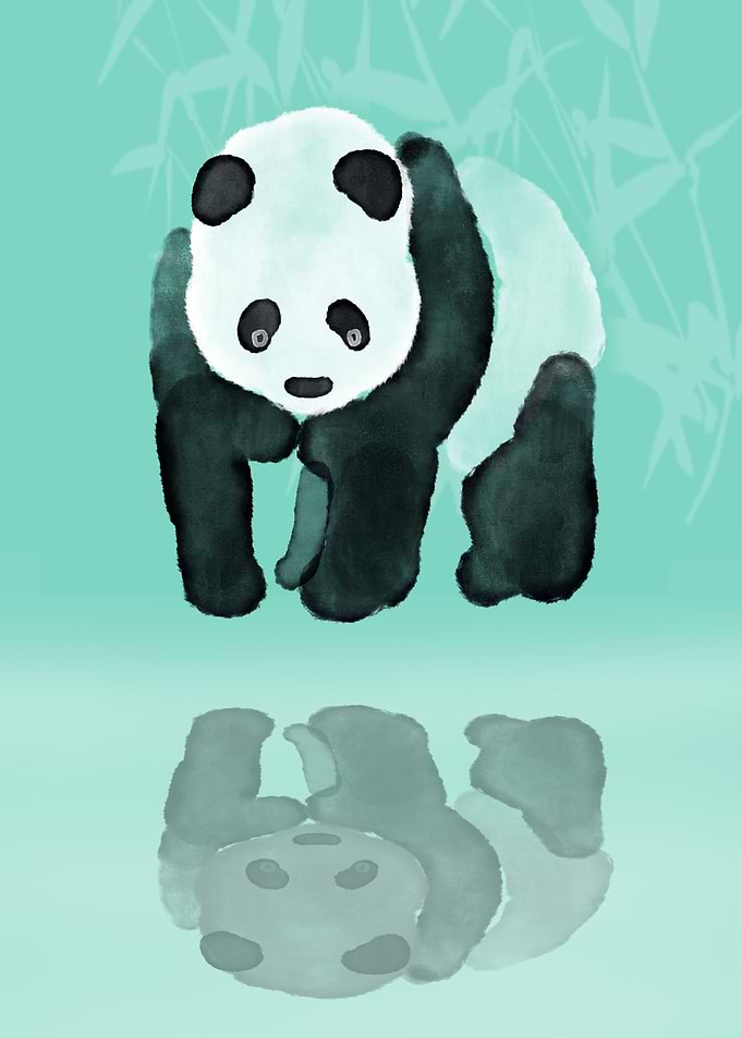 Panda meets Panda