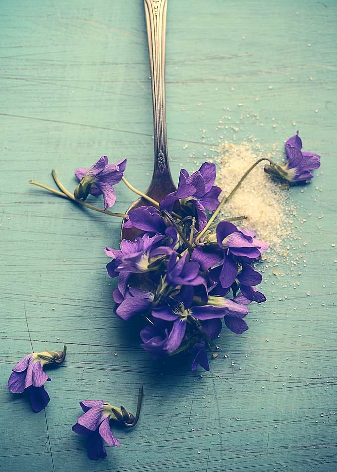 Sweet Violets