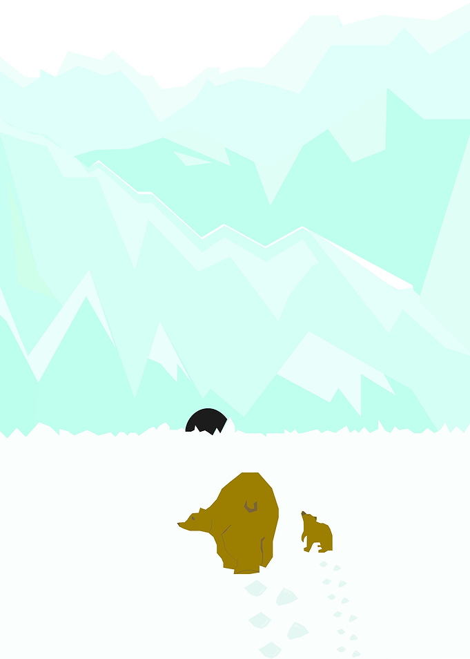Bears