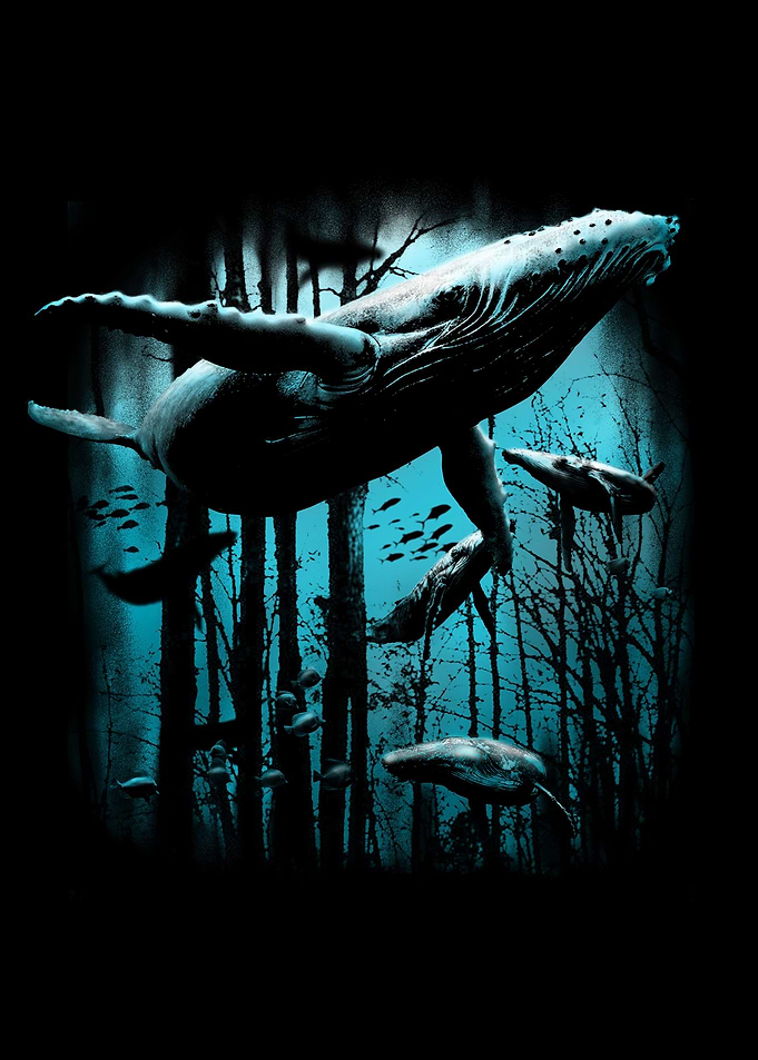 Whale Forest
