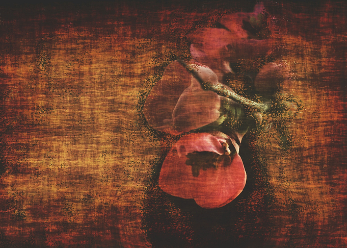 Fleeting Beauty