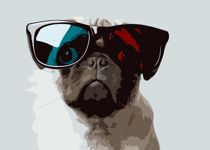 3d pug