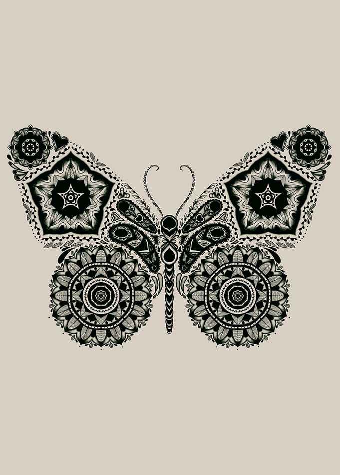Ornamental Butterfly - Please, for more visit my site h ...