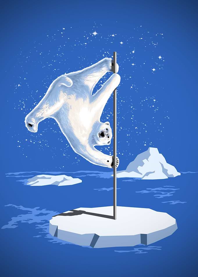 NORTH POLE DANCER - Pole Dancing Polar bear at North Po ...