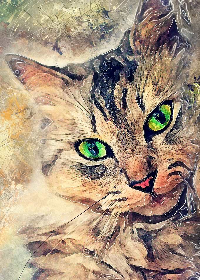 Cat Pixie