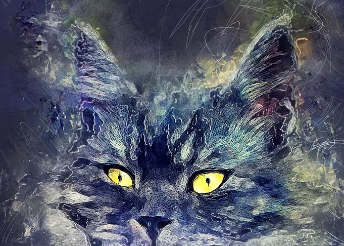 Cat Luna