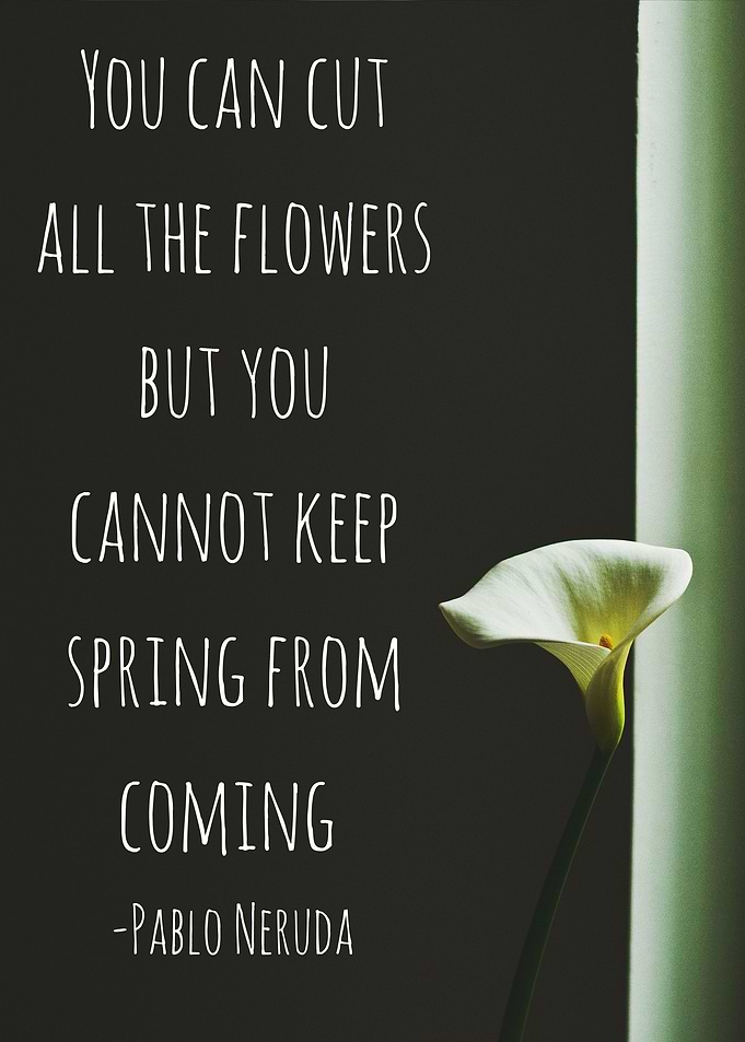 Quote by Pablo Neruda
