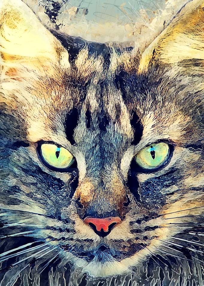 Cat Simba
