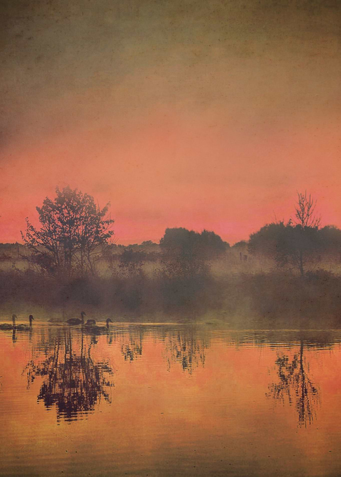 Gloaming