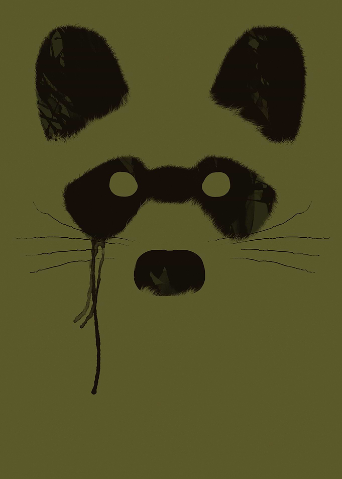 Raccoon - Please, for more visit my site http://goo.gl/ ...