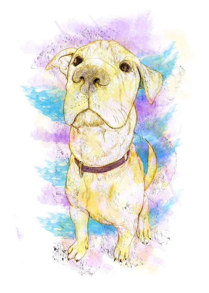 A dog.