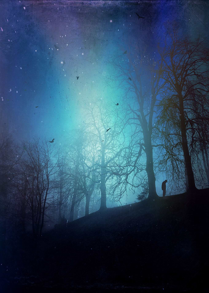 Bluer than Midnight