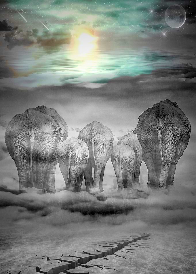 Elephants Graveyard