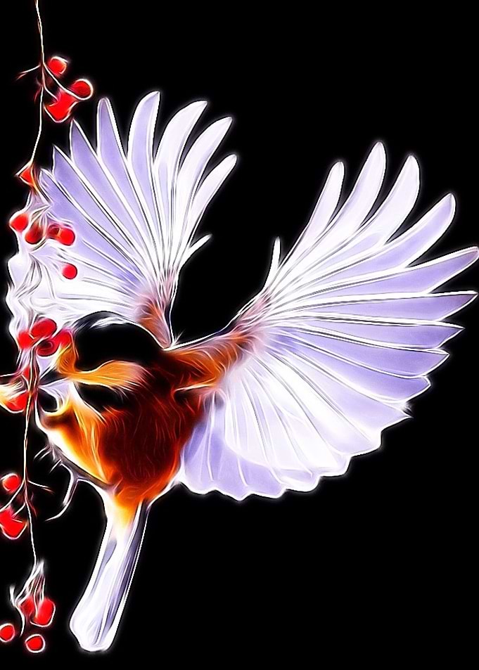 Bird with angels wings