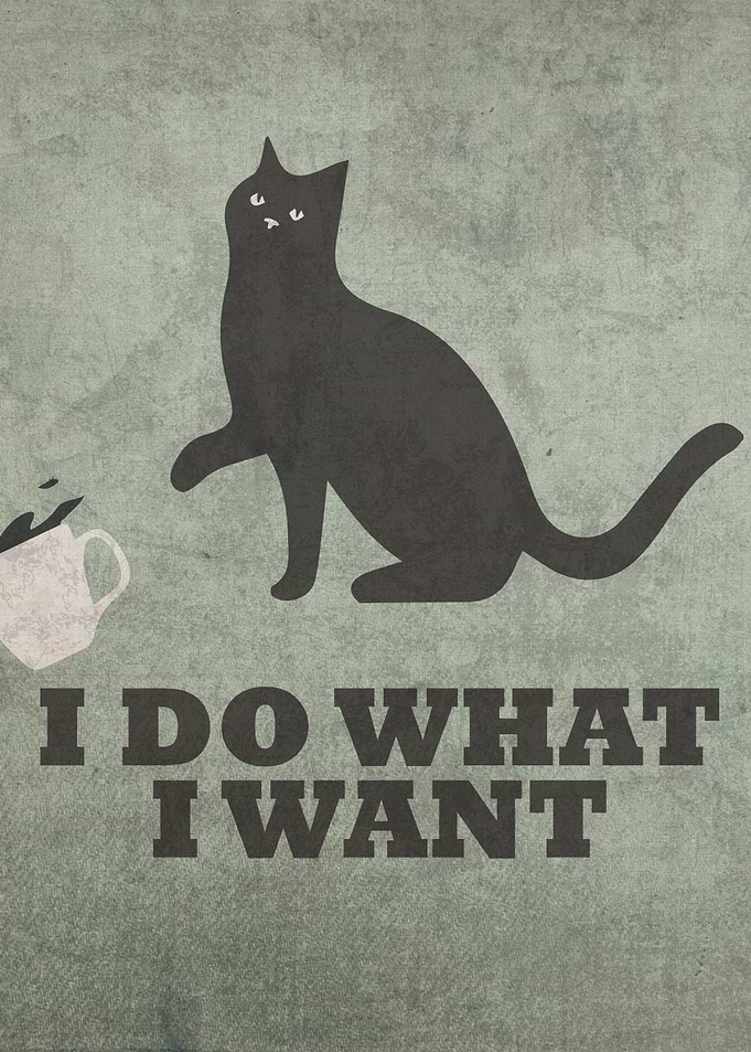 I Do What I Want Cat Humor