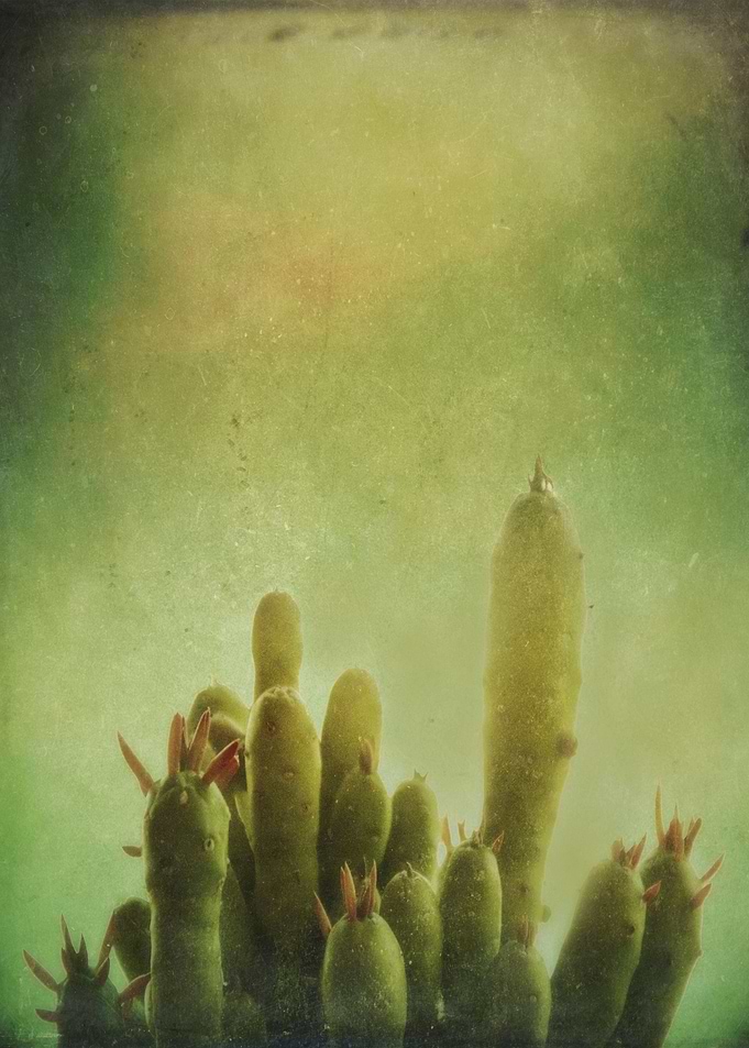 Color photograph