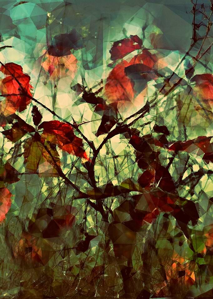 Plants at Play