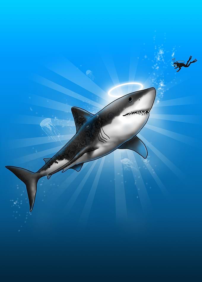 Holy Shark!